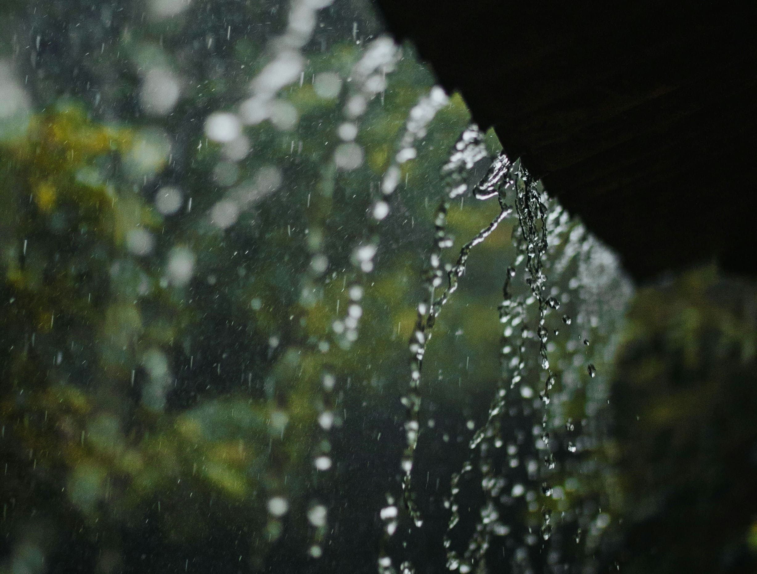 El Niño Is More Than a Weather Event: How It Could Affect Your Health